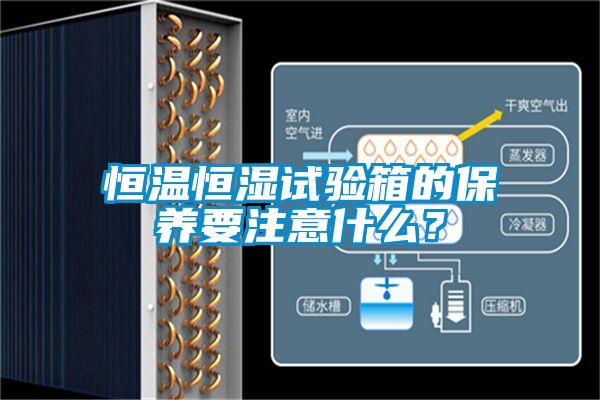 恒溫恒濕試驗(yàn)箱的保養(yǎng)要注意什么？