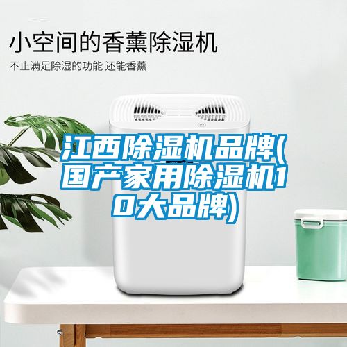 江西除濕機(jī)品牌(國產(chǎn)家用除濕機(jī)10大品牌)