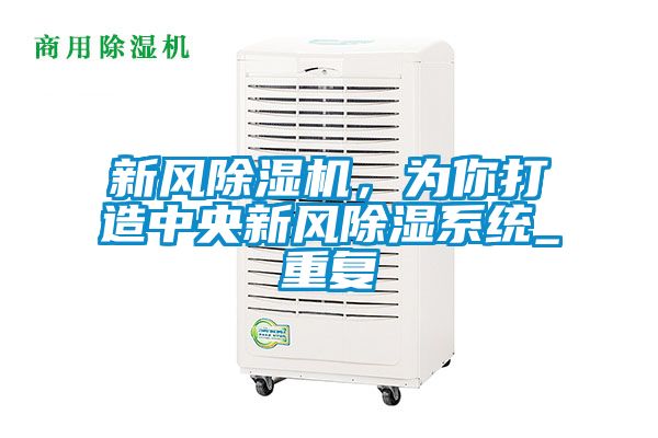 新風除濕機，為你打造中央新風除濕系統(tǒng)_重復