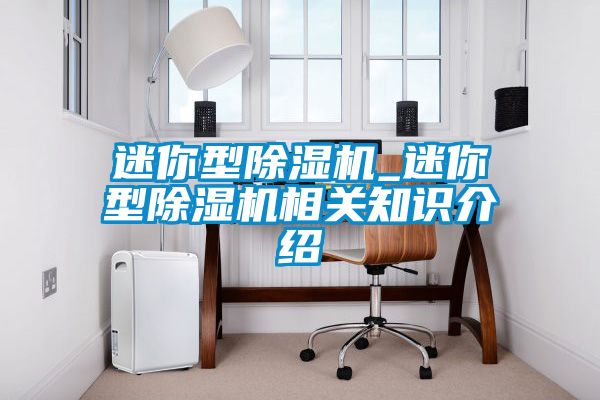 迷你型除濕機_迷你型除濕機相關知識介紹