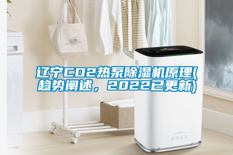 遼寧CO2熱泵除濕機(jī)原理(趨勢闡述，2022已更新)