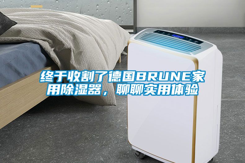 終于收割了德國BRUNE家用除濕器，聊聊實用體驗