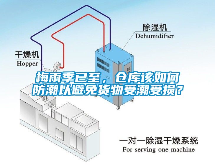 梅雨季已至，倉庫該如何防潮以避免貨物受潮受損？