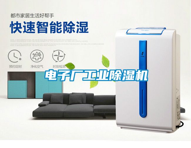 電子廠工業(yè)除濕機