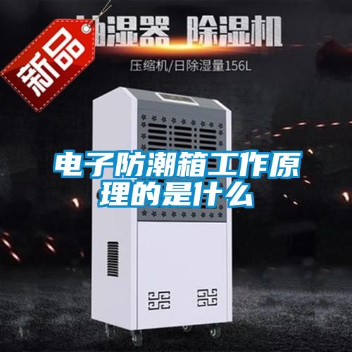 電子防潮箱工作原理的是什么