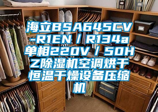 海立BSA645CV-R1EN／R134a單相220V／50HZ除濕機空調(diào)烘干恒溫干燥設(shè)備壓縮機