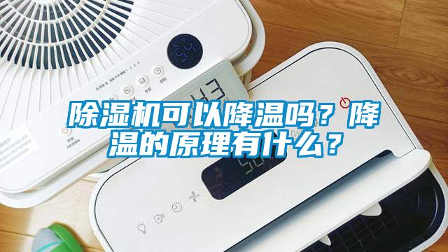 除濕機(jī)可以降溫嗎？降溫的原理有什么？