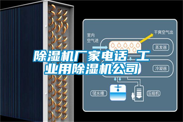 除濕機(jī)廠家電話 工業(yè)用除濕機(jī)公司