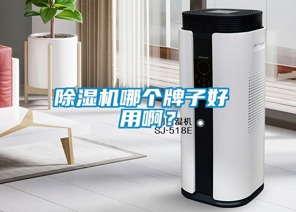 除濕機哪個牌子好 用??？