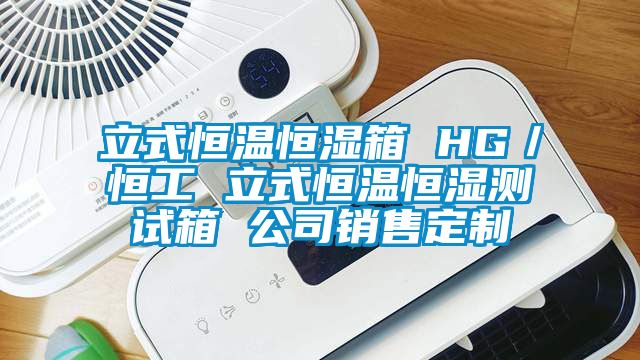 立式恒溫恒濕箱 HG／恒工 立式恒溫恒濕測(cè)試箱 公司銷售定制