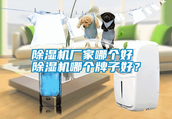 除濕機(jī)廠家哪個(gè)好 除濕機(jī)哪個(gè)牌子好？