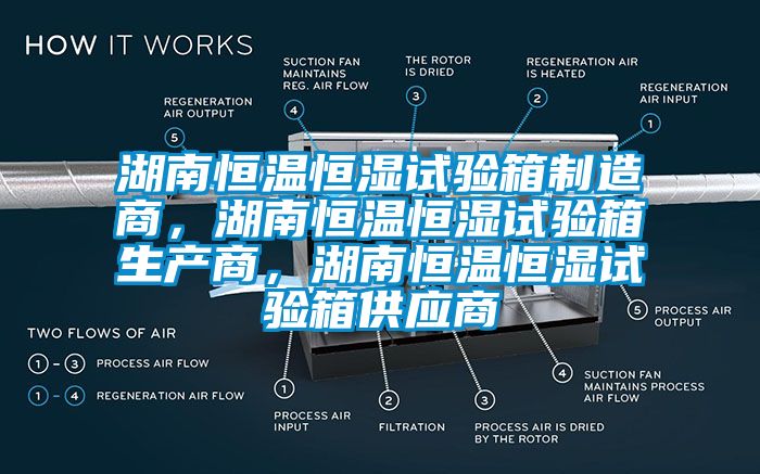 湖南恒溫恒濕試驗箱制造商，湖南恒溫恒濕試驗箱生產(chǎn)商，湖南恒溫恒濕試驗箱供應商