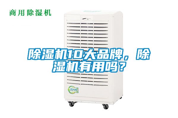 除濕機10大品牌，除濕機有用嗎？