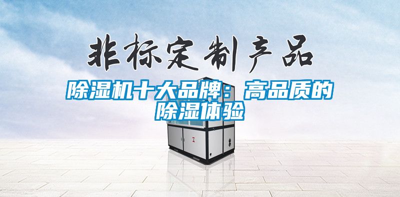 除濕機十大品牌：高品質(zhì)的除濕體驗