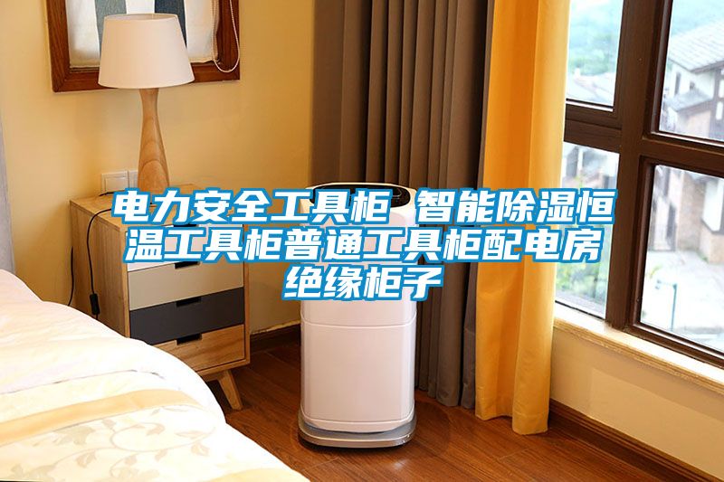 電力安全工具柜 智能除濕恒溫工具柜普通工具柜配電房絕緣柜子