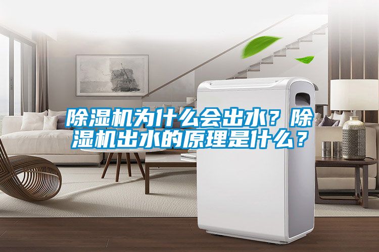 除濕機(jī)為什么會(huì)出水？除濕機(jī)出水的原理是什么？