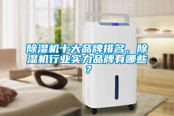 除濕機十大品牌排名，除濕機行業(yè)實力品牌有哪些？