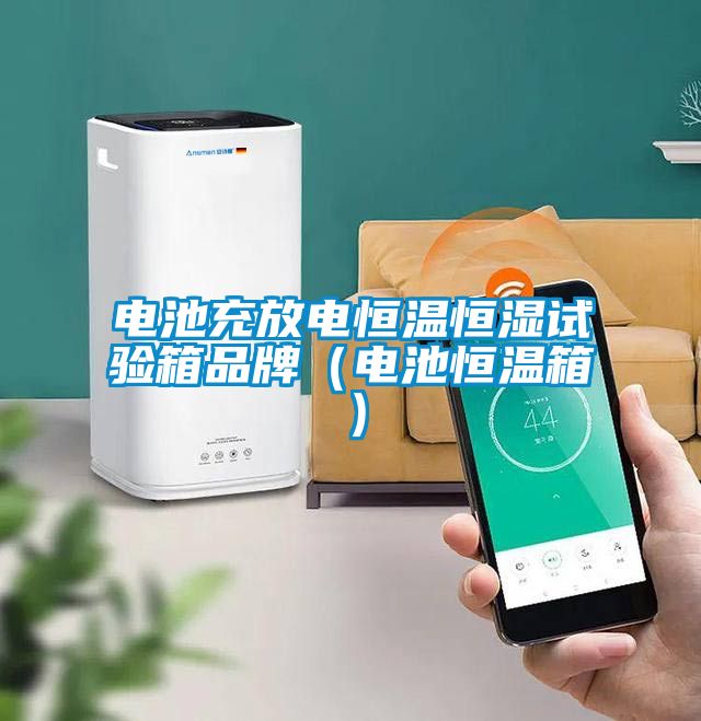 電池充放電恒溫恒濕試驗(yàn)箱品牌（電池恒溫箱）