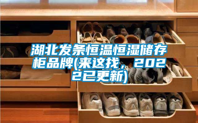 湖北發(fā)條恒溫恒濕儲存柜品牌(來這找，2022已更新)