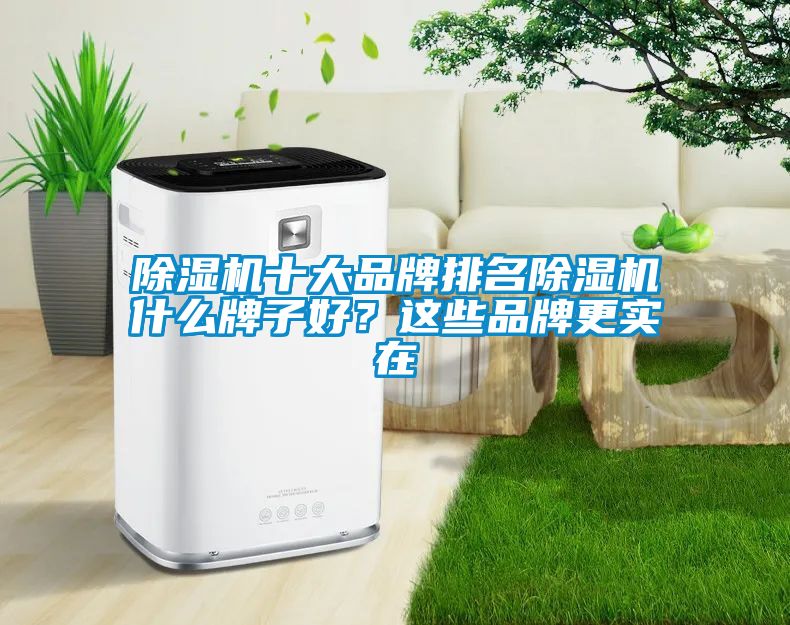 除濕機(jī)十大品牌排名除濕機(jī)什么牌子好？這些品牌更實(shí)在