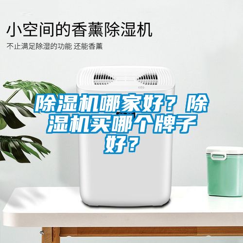 除濕機哪家好？除濕機買哪個牌子好？