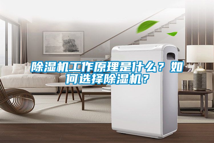 除濕機工作原理是什么？如何選擇除濕機？