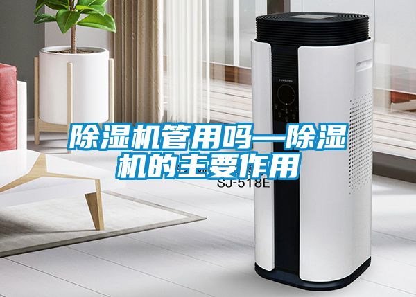 除濕機管用嗎—除濕機的主要作用