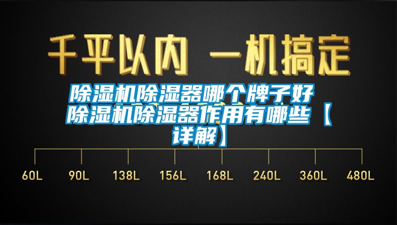 除濕機(jī)除濕器哪個(gè)牌子好 除濕機(jī)除濕器作用有哪些【詳解】