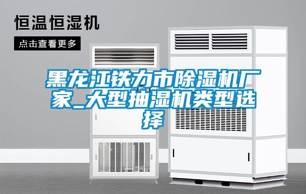 黑龍江鐵力市除濕機廠家_大型抽濕機類型選擇