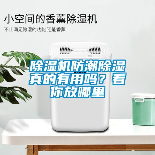 除濕機(jī)防潮除濕真的有用嗎？看你放哪里