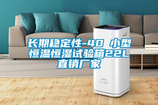 長(zhǎng)期穩(wěn)定性-40℃小型恒溫恒濕試驗(yàn)箱22L直銷廠家