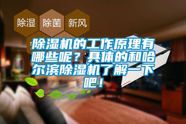 除濕機的工作原理有哪些呢？具體的和哈爾濱除濕機了解一下吧！