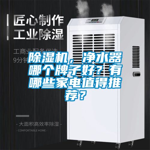 除濕機(jī)，凈水器哪個(gè)牌子好？有哪些家電值得推薦？