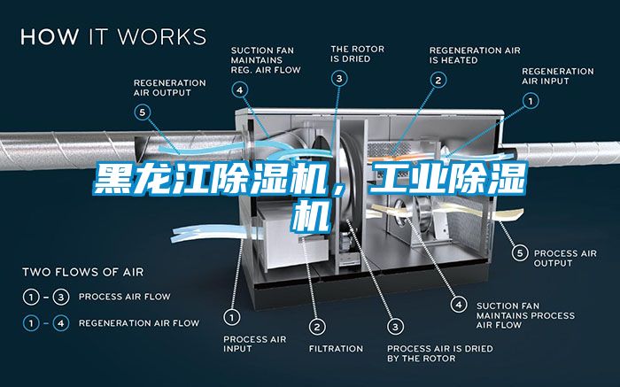 黑龍江除濕機(jī)，工業(yè)除濕機(jī)