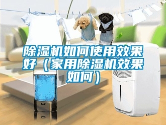 常見問題除濕機如何使用效果好（家用除濕機效果如何）