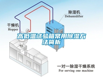 常見(jiàn)問(wèn)題高低溫試驗(yàn)箱常用除濕方法簡(jiǎn)析