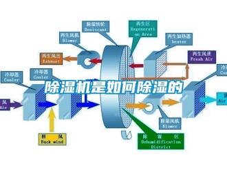 行業(yè)新聞除濕機(jī)是如何除濕的