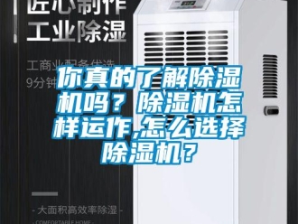 常見問題你真的了解除濕機嗎？除濕機怎樣運作,怎么選擇除濕機？