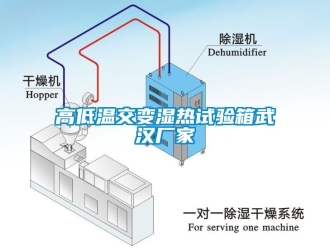 常見問題高低溫交變濕熱試驗(yàn)箱武漢廠家