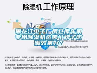 企業(yè)新聞黑龍江電子廠房倉庫車間專用除濕機選哪個牌子防潮效果好？