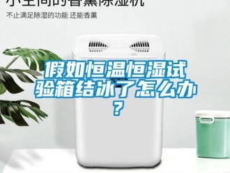 常見問題假如恒溫恒濕試驗(yàn)箱結(jié)冰了怎么辦？