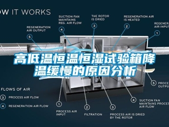 知識(shí)百科高低溫恒溫恒濕試驗(yàn)箱降溫緩慢的原因分析