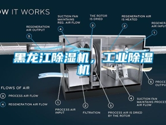 常見問題黑龍江除濕機(jī)，工業(yè)除濕機(jī)