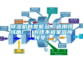 行業(yè)新聞除濕機(jī)種類(lèi)繁多、適用領(lǐng)域面廣，為啥不被家庭所接受？