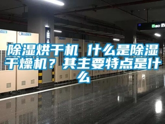 企業(yè)新聞除濕烘干機 什么是除濕干燥機？其主要特點是什么