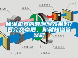 行業(yè)新聞除濕機真的有除濕效果嗎？看完文章后，你就知道答案啦