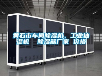 企業(yè)新聞黃石市車間除濕機，工業(yè)抽濕機  除濕器廠家 價格