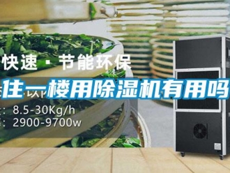 常見問題住一樓用除濕機有用嗎