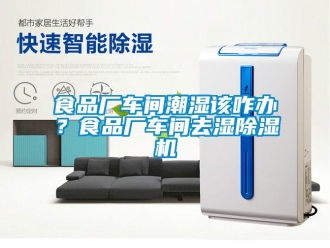 企業(yè)新聞食品廠車間潮濕該咋辦？食品廠車間去濕除濕機(jī)